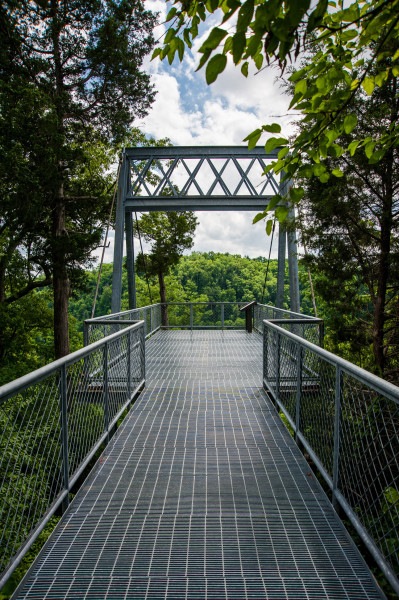 High Bridge Park overlook